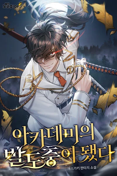 I became a swordsman at the academy*